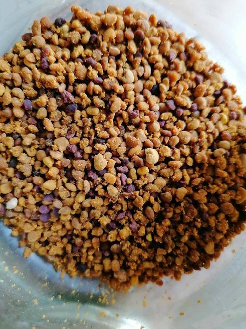 鱼饲料哪个牌子好又便宜?十大品牌实测推荐!养鱼人必看选购指南